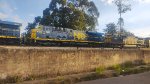 MRSL 7537